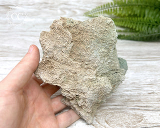 Green Selenite Specimen #6