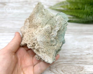 Green Selenite Specimen #6