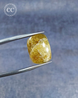 Gemstone Tweezers holding a Green Tourmaline Cabochon from Siberia 