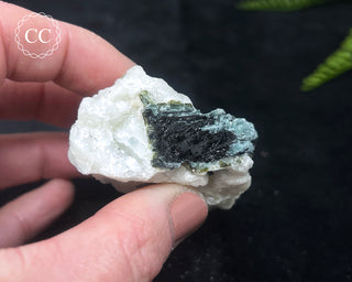 Green & Blue Tourmaline in Albite #12