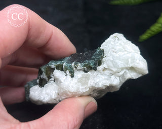 Green & Blue Tourmaline in Albite #12