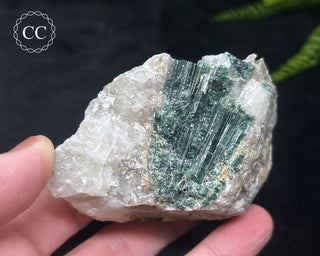 Green Tourmaline in Quartz #14