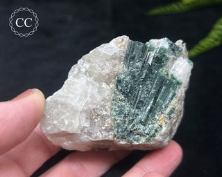 Green Tourmaline in Quartz #14