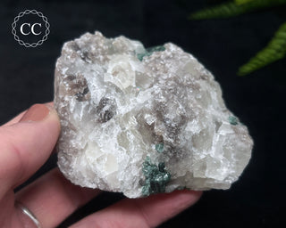 Green Tourmaline in Quartz #14