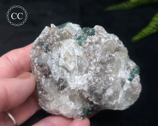 Green Tourmaline in Quartz #14