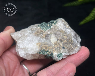 Green Tourmaline in Quartz #14