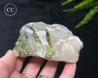 Green Tourmaline in Quartz #5
