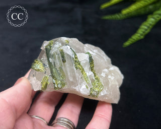 Green Tourmaline in Quartz #5