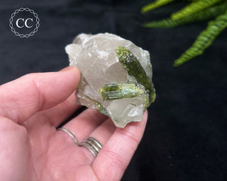 Green Tourmaline in Quartz #5