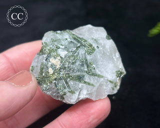 Green Tourmaline in Quartz #7