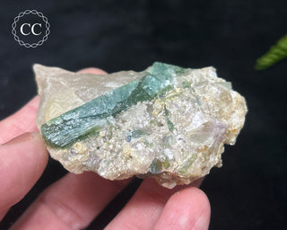 Green & Blue Tourmaline in Quartz #8