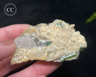 Green & Blue Tourmaline in Quartz #8