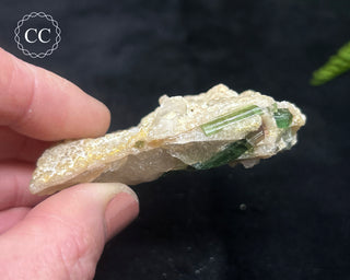 Green & Blue Tourmaline in Quartz #8