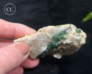 Green & Blue Tourmaline in Quartz #8