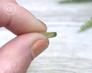 Green Tourmaline Polished #7