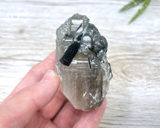 Green Tourmaline in Quartz #3
