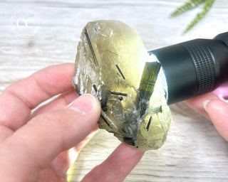 Green Tourmaline in Quartz #3