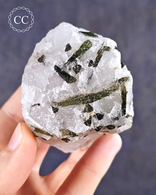 A hand holding a Green Tourmaline in Quartz specimen