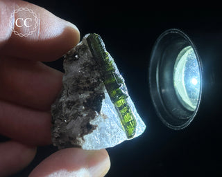 Green Tourmaline in Quartz #1