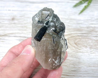 Green Tourmaline in Quartz #3