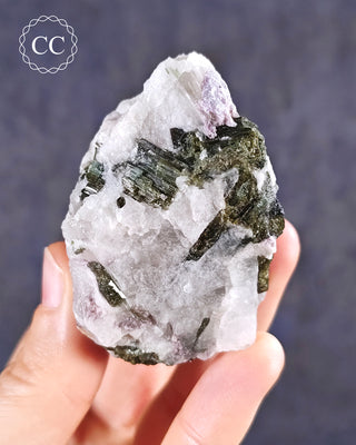 A hand holding a Green Tourmaline in Quartz specimen