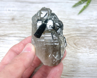 Green Tourmaline in Quartz #3