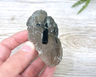 Green Tourmaline in Quartz #3