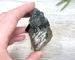 Green Tourmaline in Quartz #3
