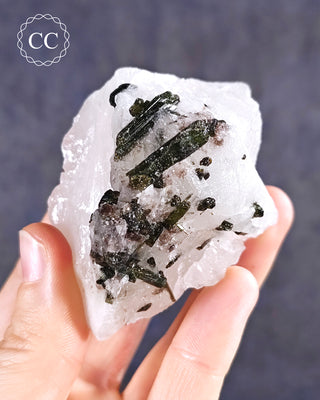 A hand holding a Green Tourmaline in Quartz specimen