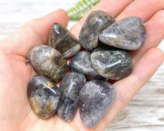 Greenlaws Fluorite Tumbled Crystals in hand