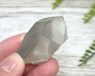 Grey Phantom Quartz Point #1