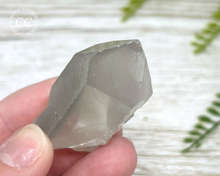 Grey Phantom Quartz Point #1