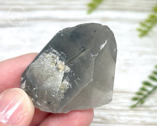 Grey Phantom Quartz Point #2