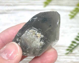 Grey Phantom Quartz Point #2