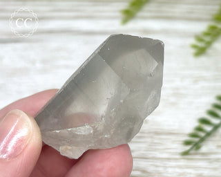 Grey Phantom Quartz Point #1