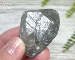 Grey Phantom Quartz Point #2