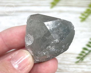 Grey Phantom Quartz Point #2