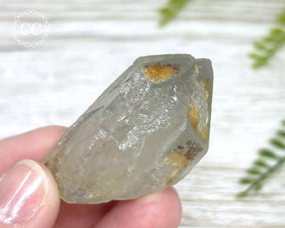 Grey Phantom Quartz Point #3