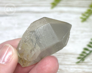 Grey Phantom Quartz Point #3