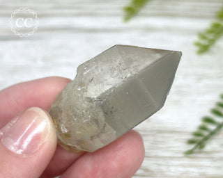 Grey Phantom Quartz Point #3