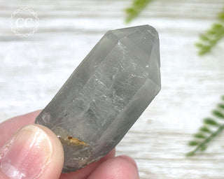 Grey Phantom Quartz Point #4