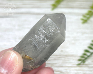 Grey Phantom Quartz Point #4