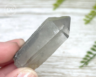 Grey Phantom Quartz Point #4