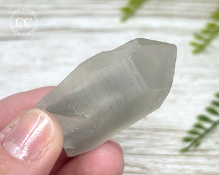 Grey Phantom Quartz Point #1