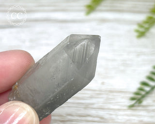 Grey Phantom Quartz Point #4