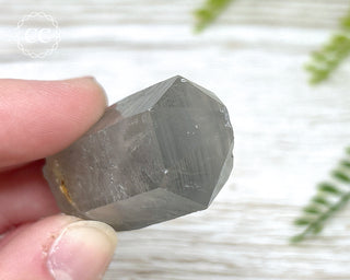 Grey Phantom Quartz Point #4