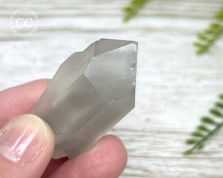 Grey Phantom Quartz Point #1