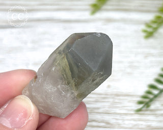 Grey Phantom Quartz Point #6