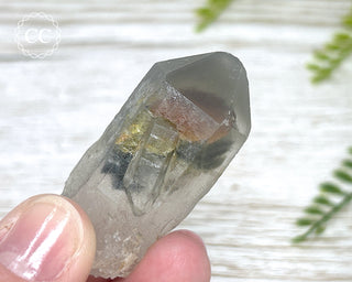 Grey Phantom Quartz Point #6