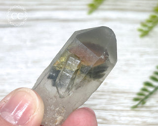 Grey Phantom Quartz Point #6